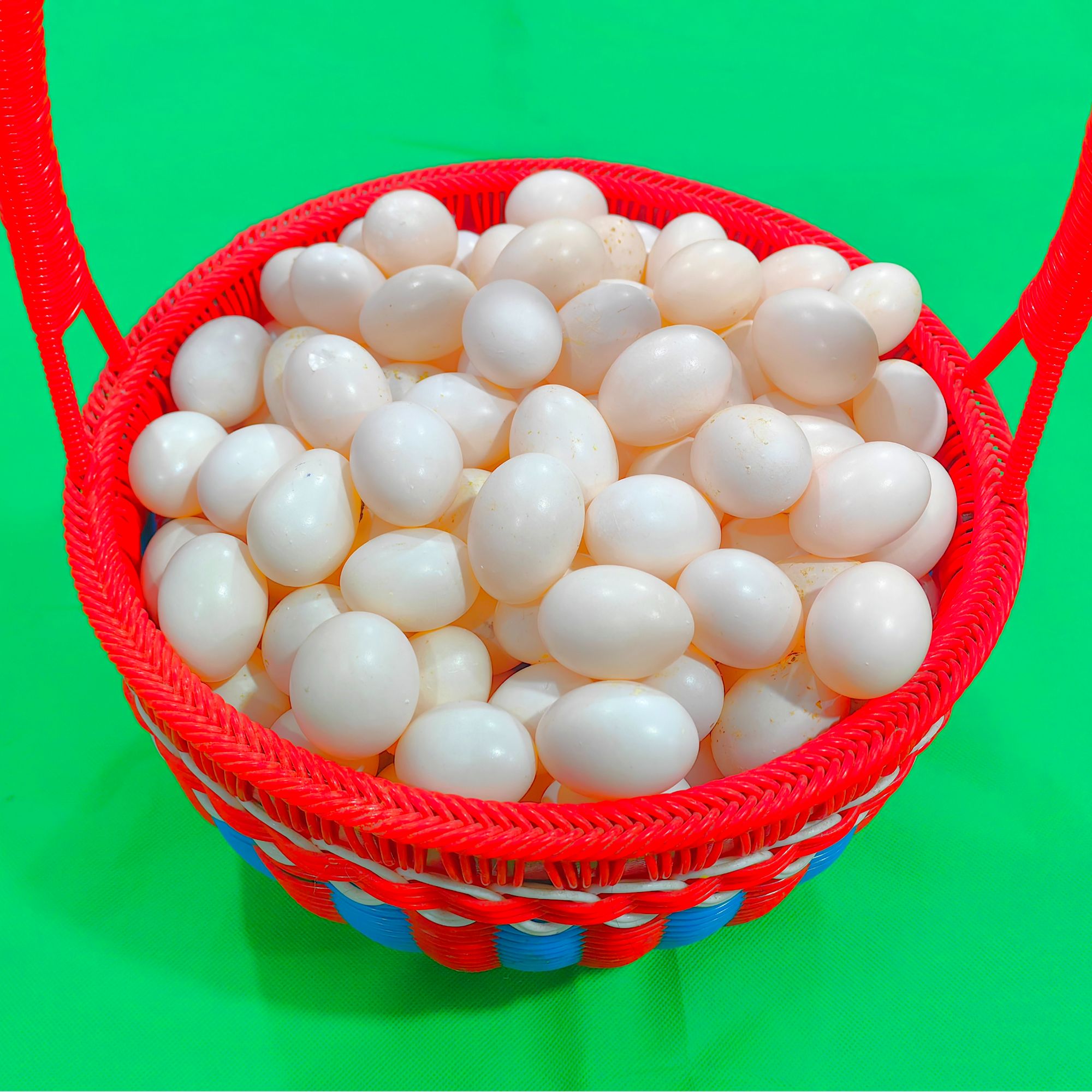 杂粮喂养新鲜鸽子蛋，健康营养适合天然孕妇宝宝王八蛋