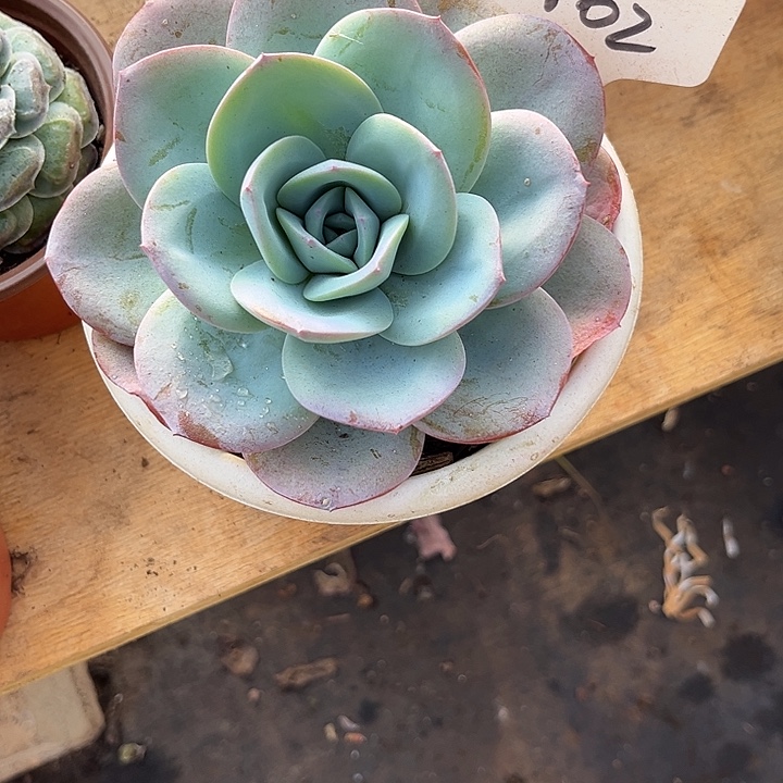 肖***峰0000000000000000462