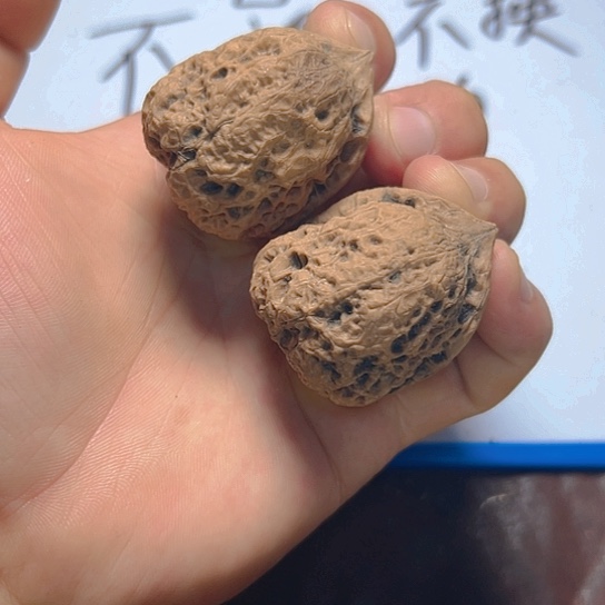 文玩核桃把件11号蟾钟卡42.5