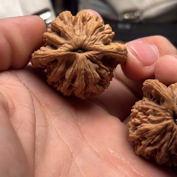 哈哈哈斤斤计较j k k m m健康可口