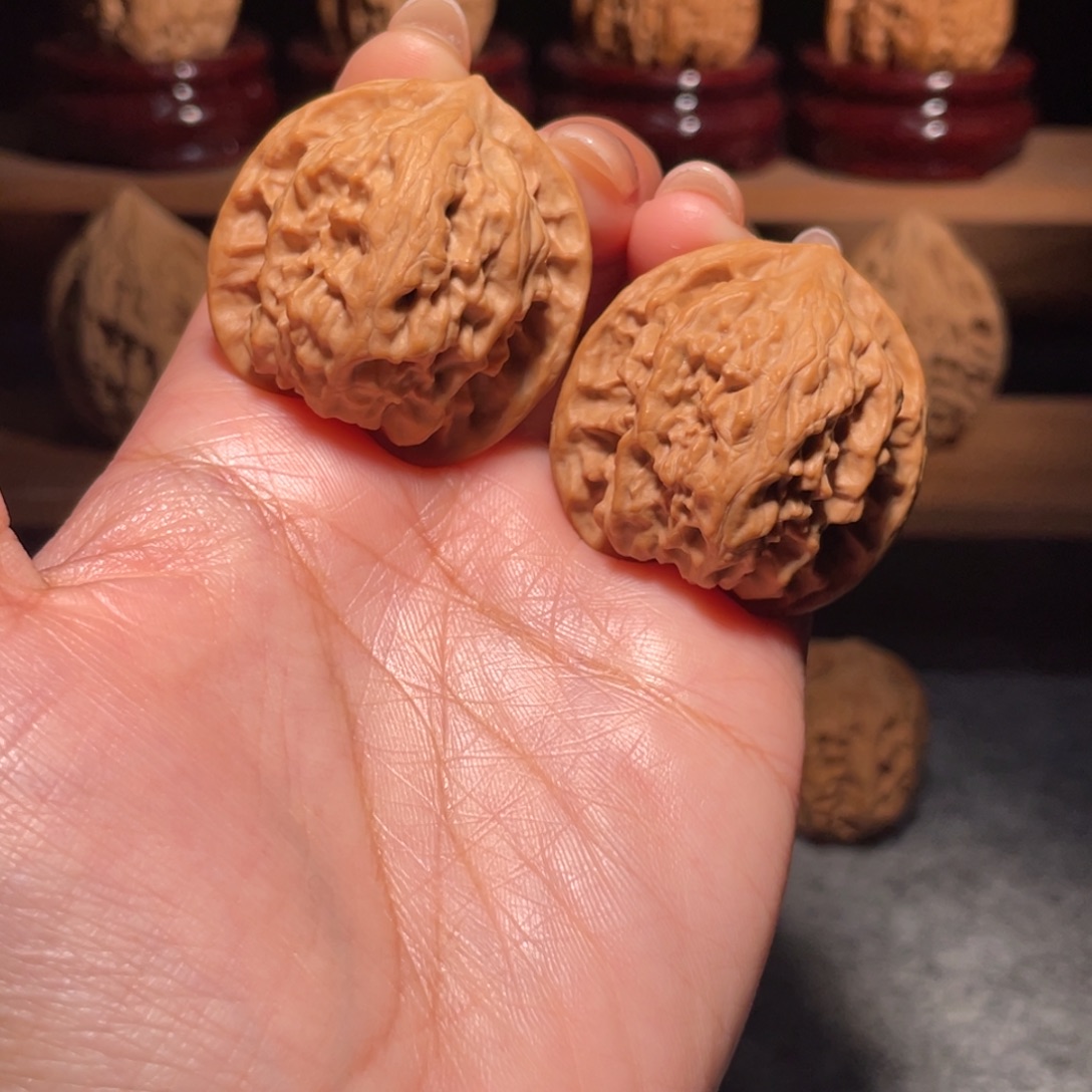 艺***家野狼野生易县全品38