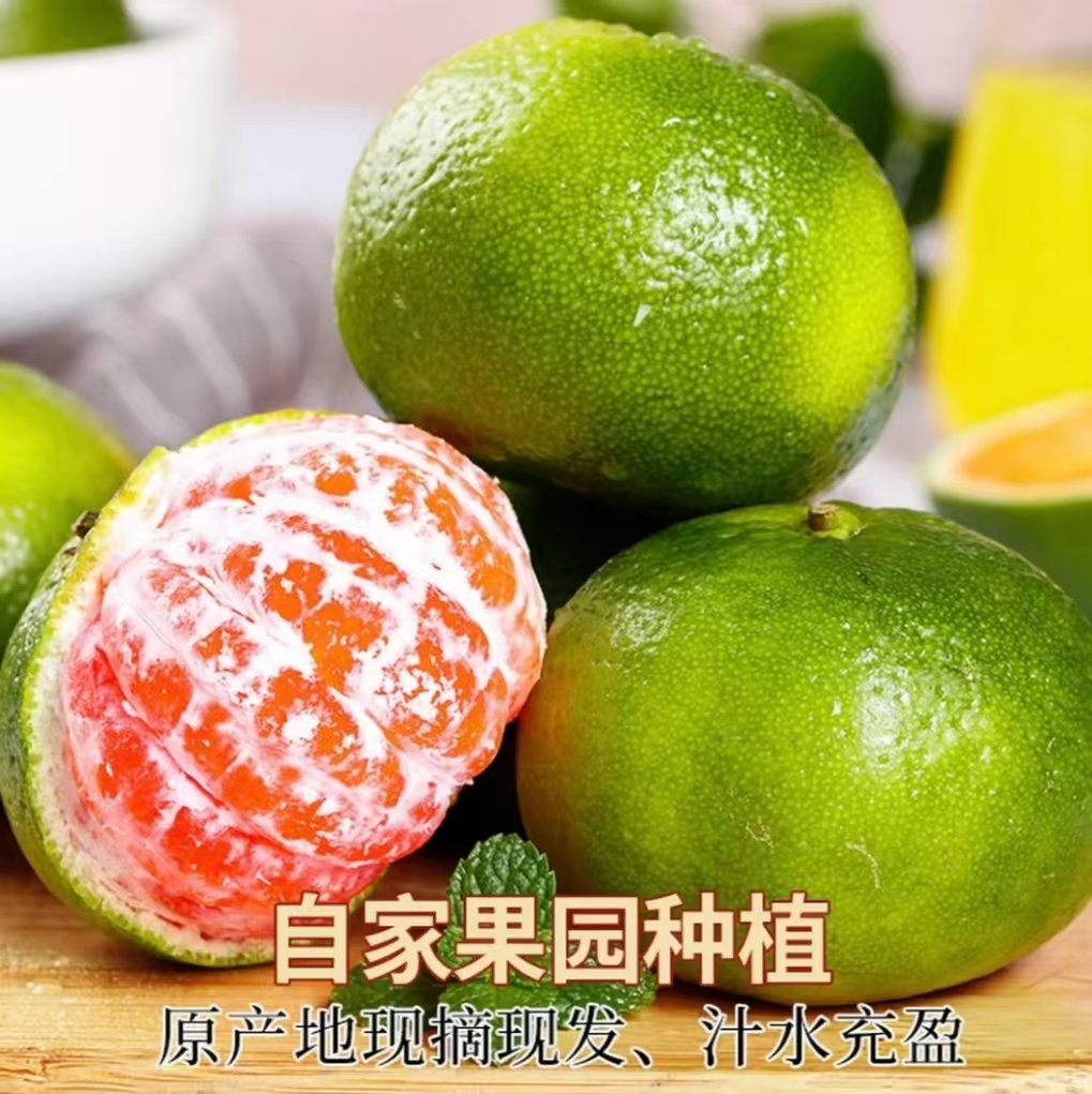 湖南益阳沅江雪山蜜桔现摘青皮蜜桔薄皮无籽新鲜当季水果酸甜多汁