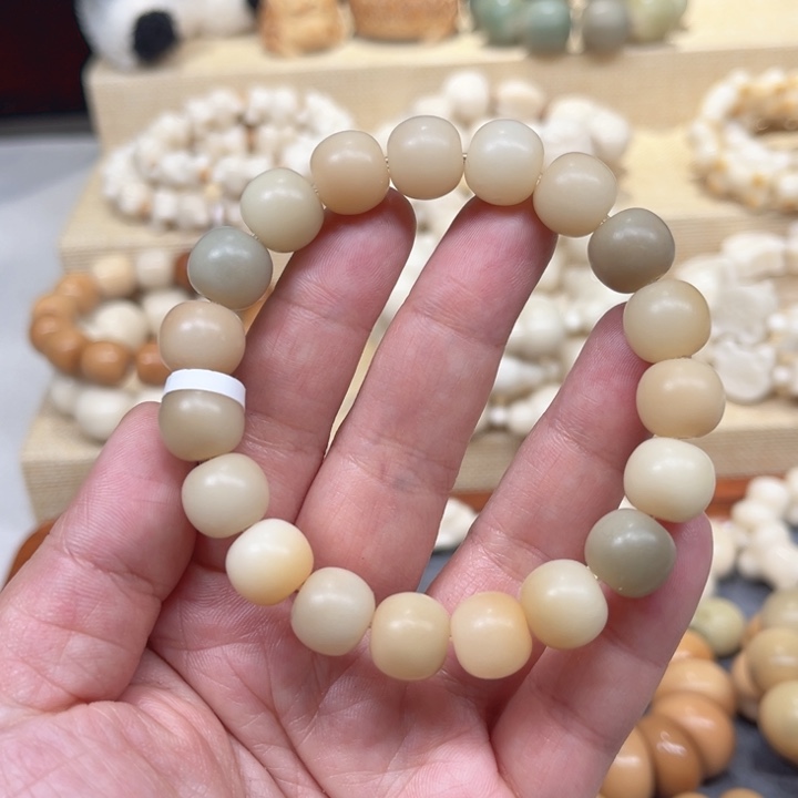 菩提根/象牙果手串特价福利2-19-104