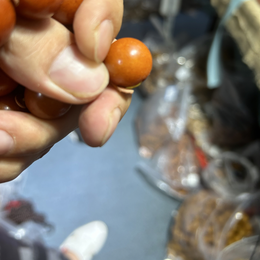 18橘皮单珠多样性发其一