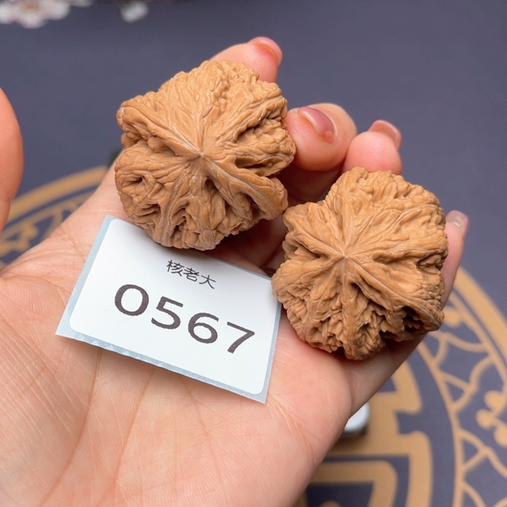 文玩核桃把件40大粗筋 0567