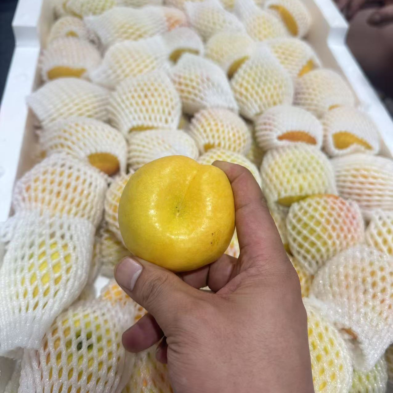 【果真不错】风味皇后蟠桃 ，香甜多汁，果肉细腻桃子同城送湖北省
