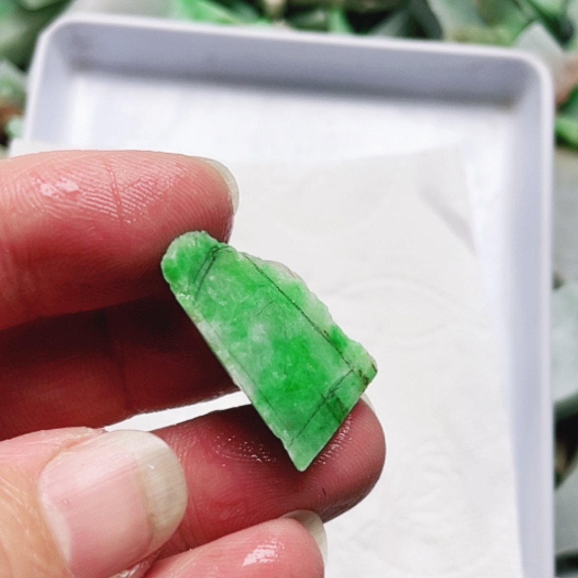 【闪购商品】翡翠颈饰未镶嵌A ＂货