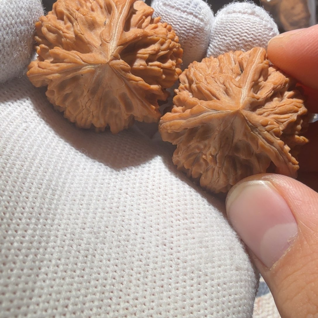 文玩核桃吊坠御龙正奔