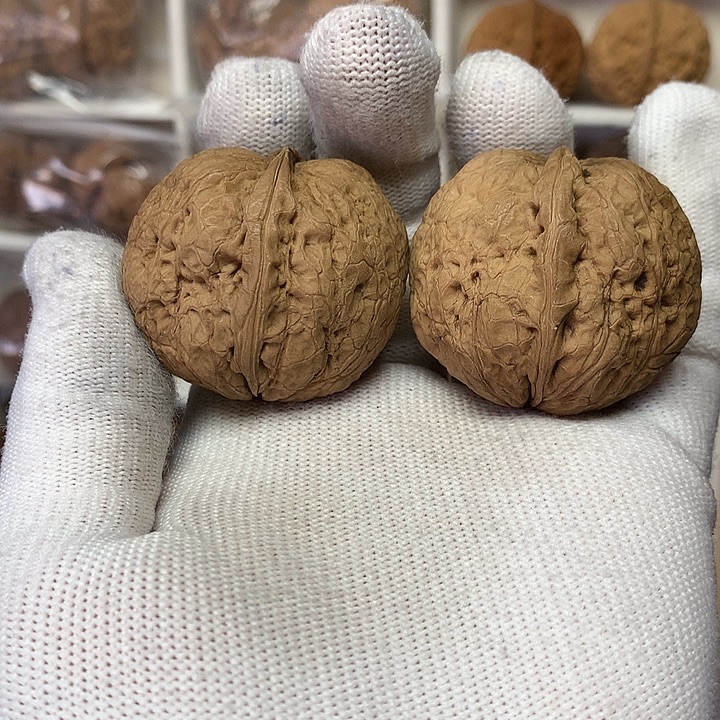 核桃40尺滑皮元宝18号