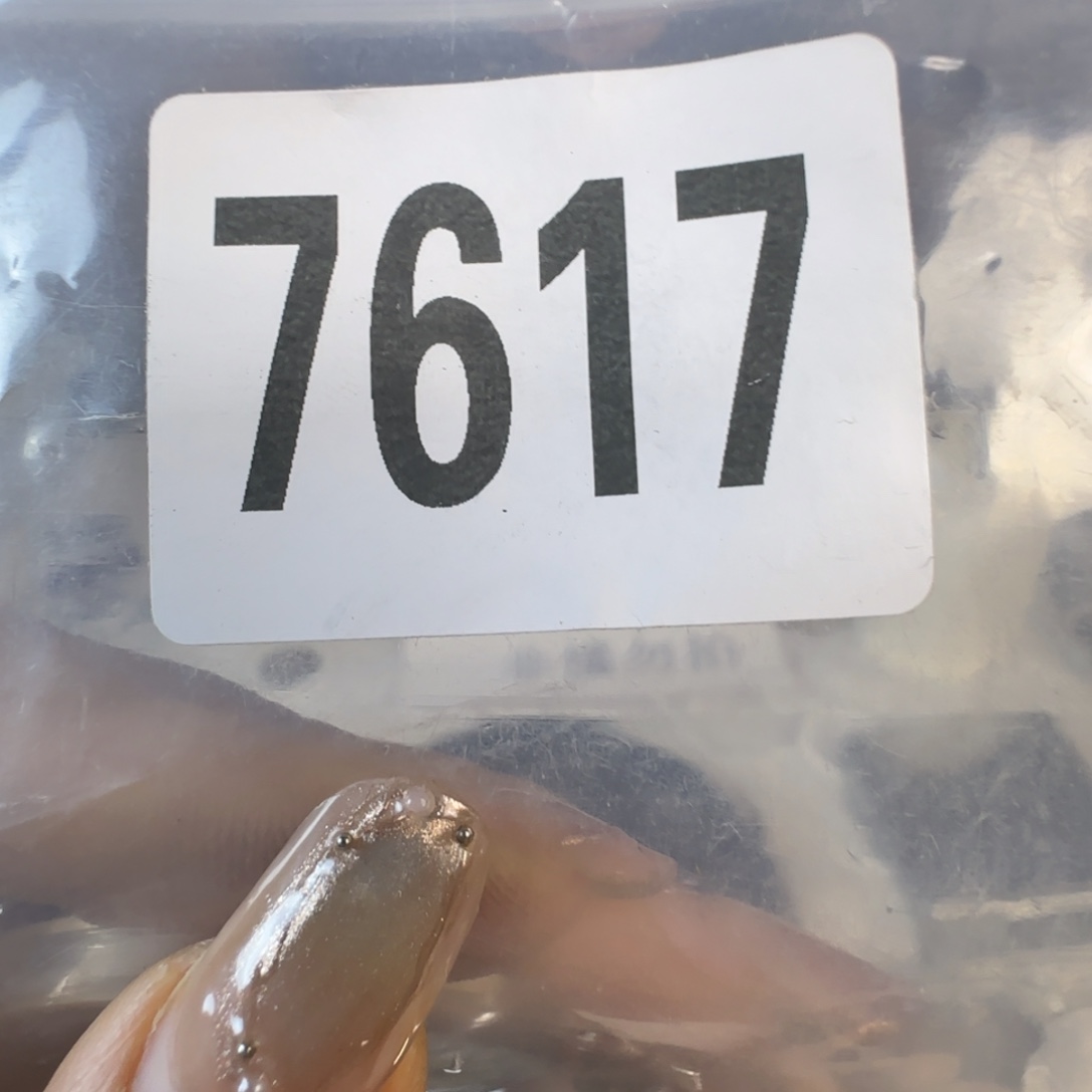 直播间秒拍秒付链接