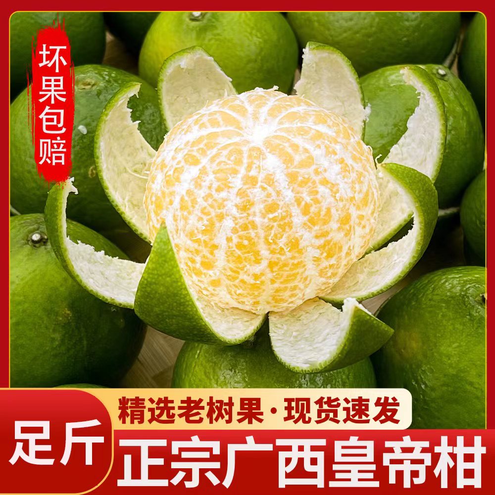 老嫂子广西正宗皇帝柑5/9斤新鲜现摘应季水果桔橘汁多整箱包邮