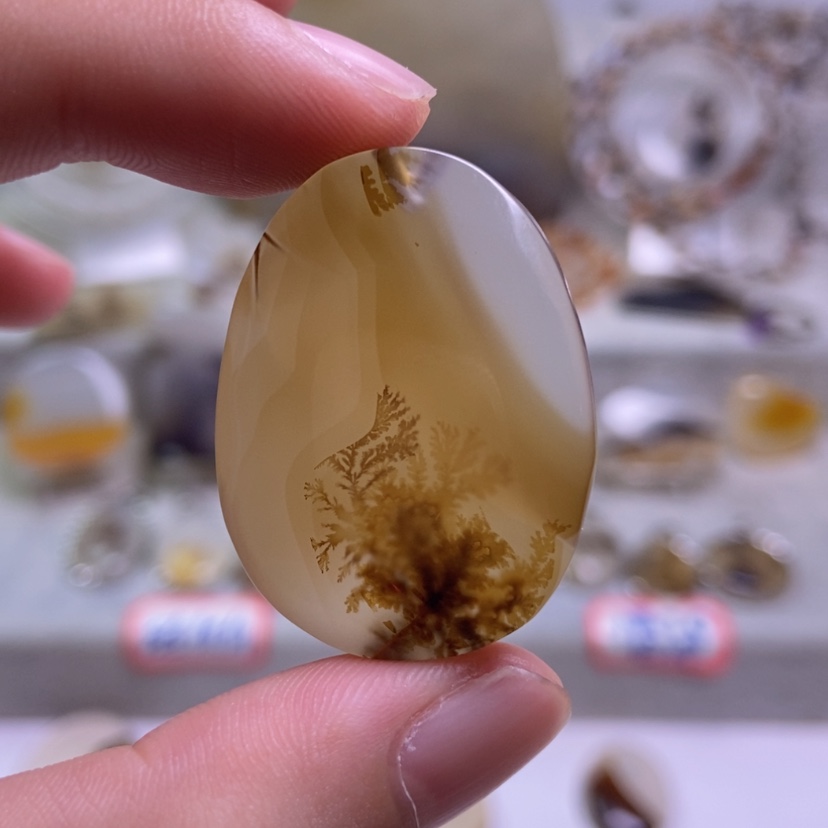 【闪购商品】玛瑙/玉髓颈饰未镶嵌