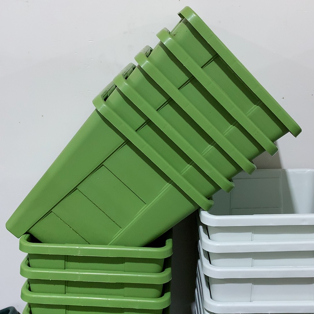 树脂方口19果绿5个无托