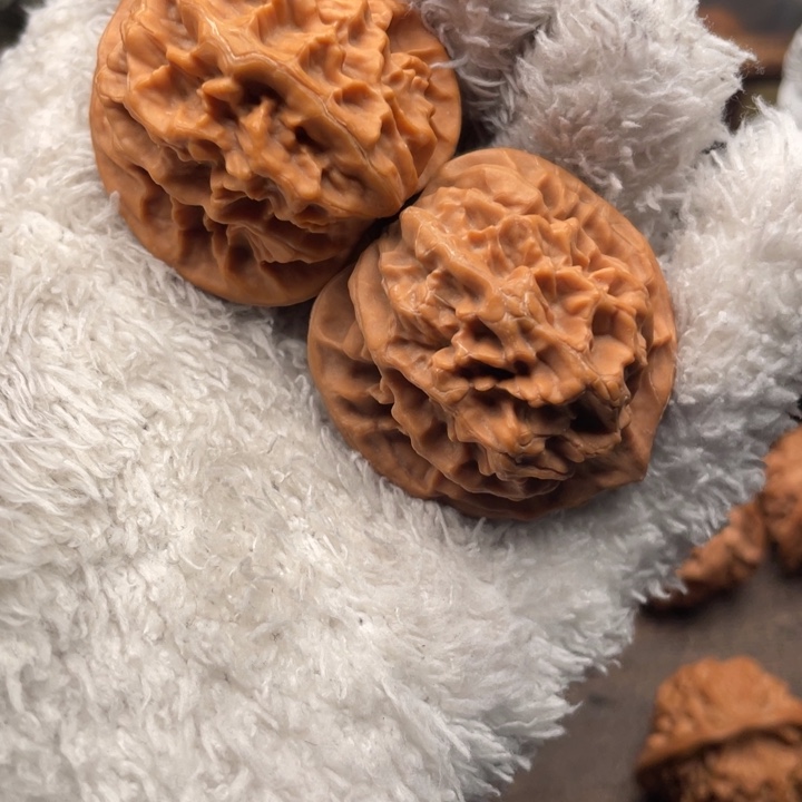 香****核桃38尺秦岭野生龙鳞