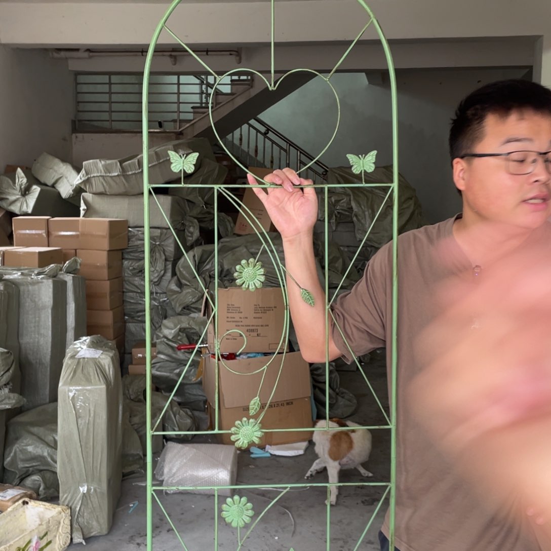 【闪购商品】铁艺大号爬藤架摆件
