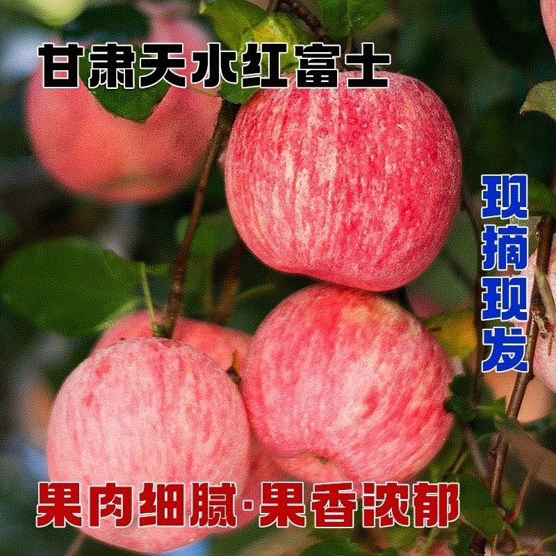 甘肃天水秦安红富士苹果高端优质新鲜冰糖心条纹黄心脆甜大果直发
