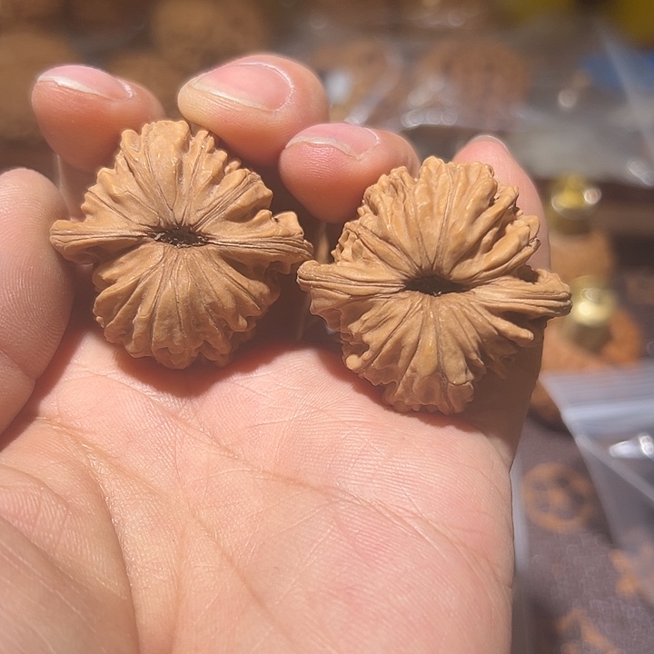 笨***界核桃全品无修蓟县四座楼