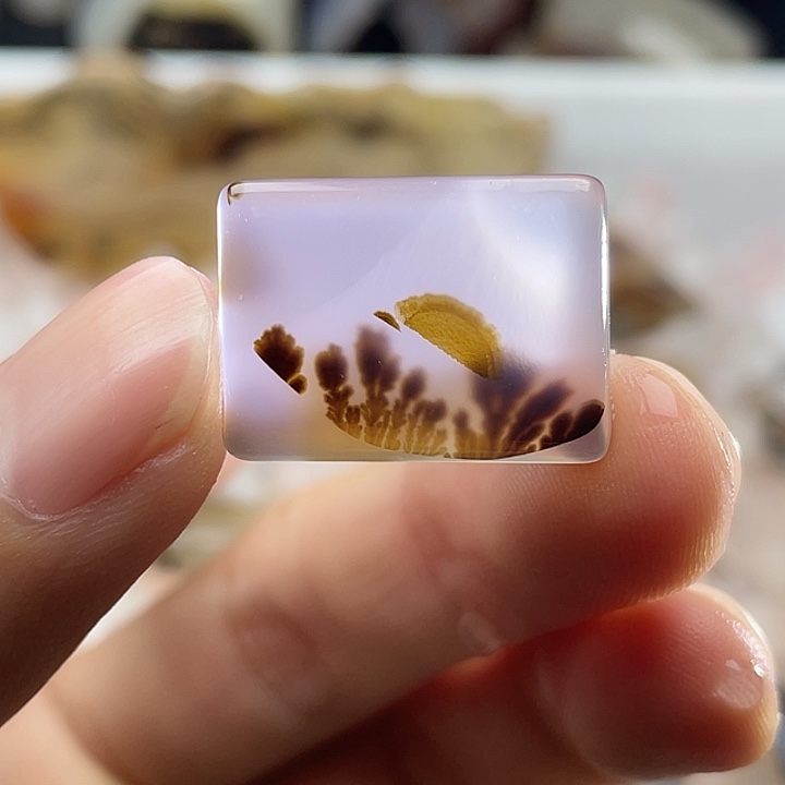 玛瑙/玉髓合金颈饰