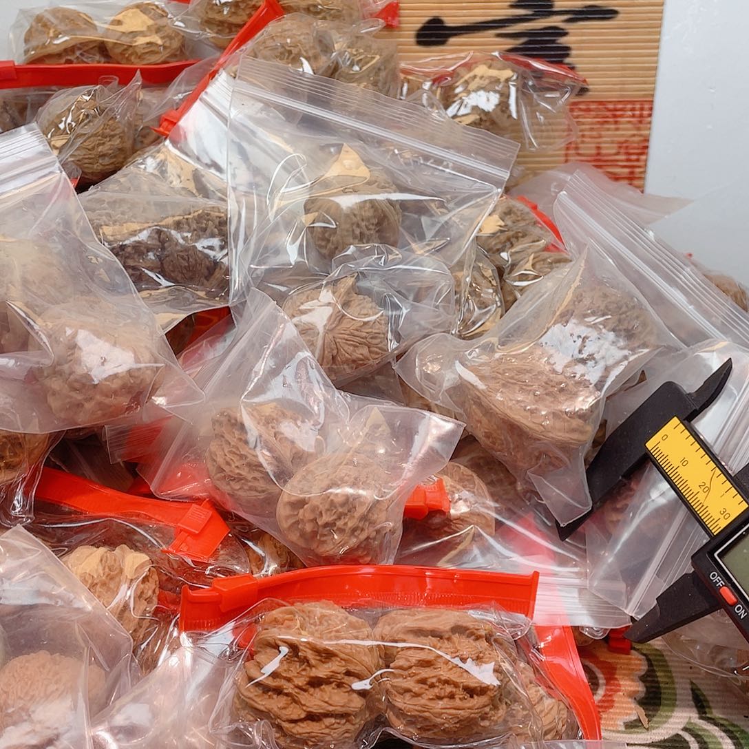 L***天核桃手串/手链哈哈哈哈哈哈哈哈