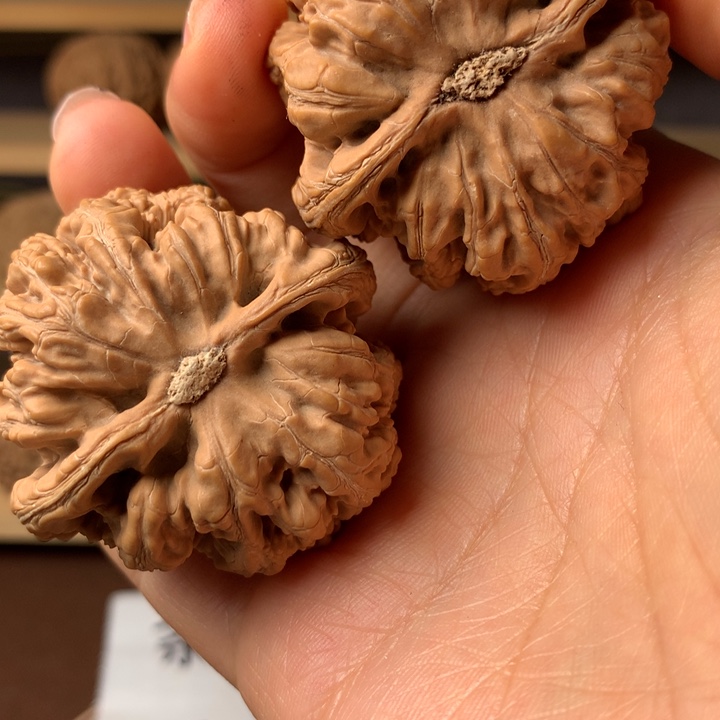 用***0大叶紫檀（黑酸枝木类）粗筋