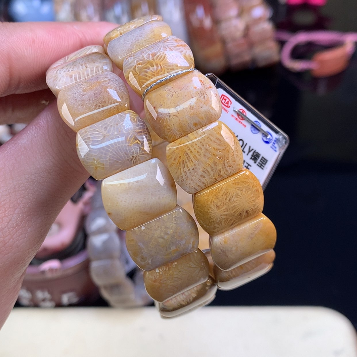 【闪购商品】颈饰未镶嵌硅化珊瑚（珊瑚玉）8号虫➕凤尾单价48一条
