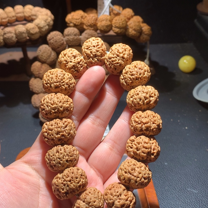 菩提籽类23+顽石定制