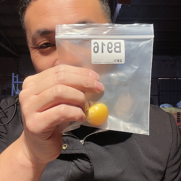 大叶紫檀（黑酸枝木类）没**玩916