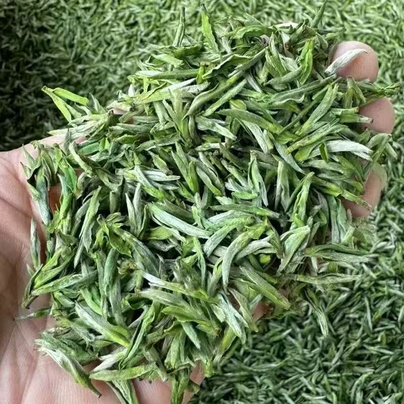 年底了去库存 茶厂直发  2025年新茶安徽毛峰茶浓香耐泡 兰花香型