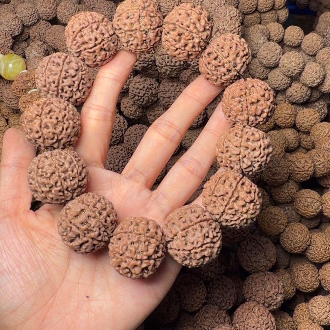 金刚菩提手串8瓣卡28尺，40号