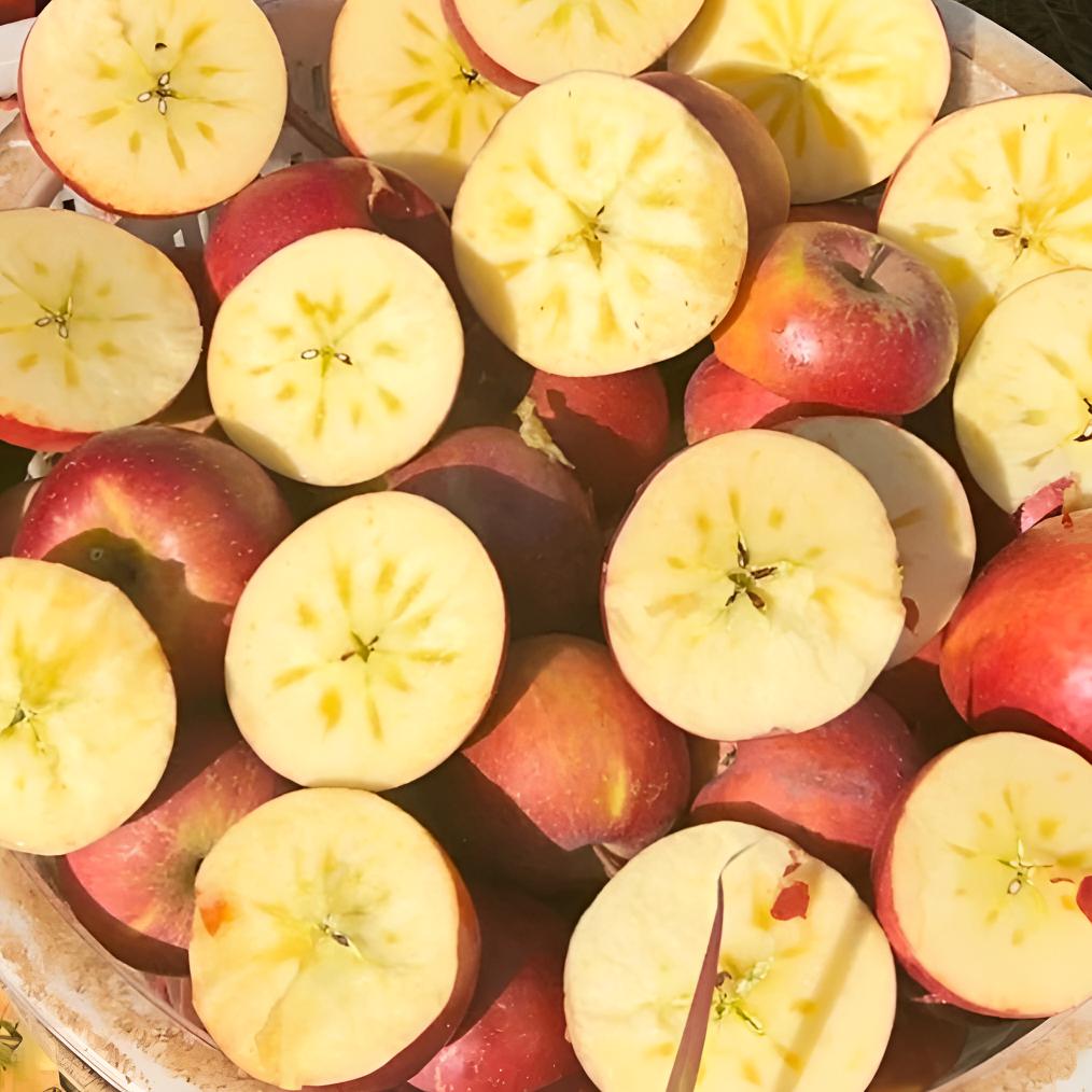 {脆甜大果}精品大凉山冰糖丑苹果-2斤(约1000g)四川省