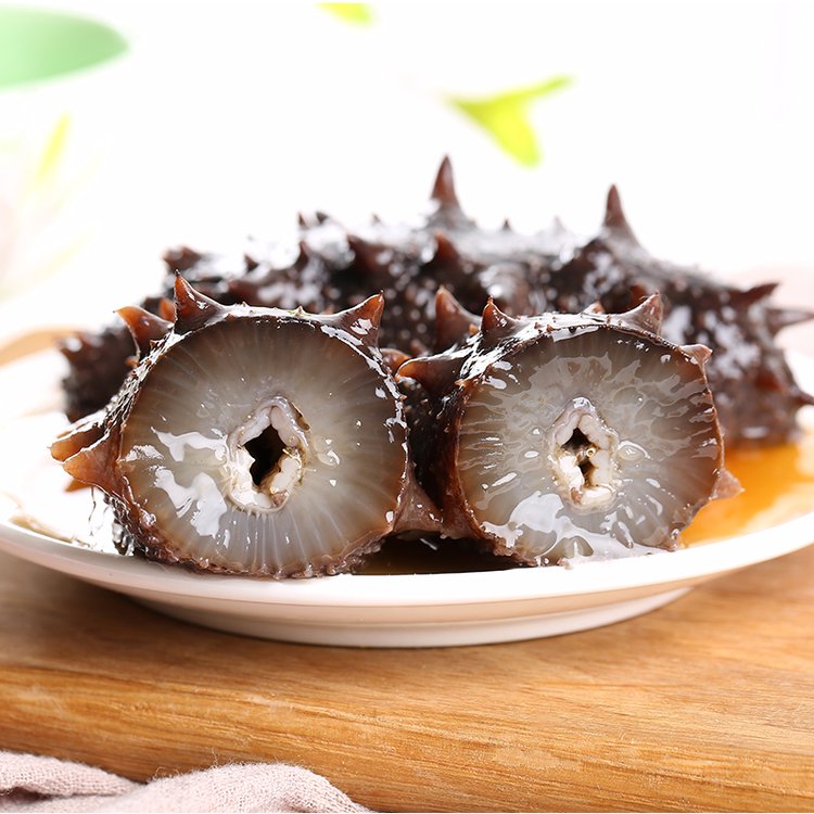 【顺丰冷链】鲜蒸即食海参 16-25头/斤 2斤4斤 开袋即食滋补辽参