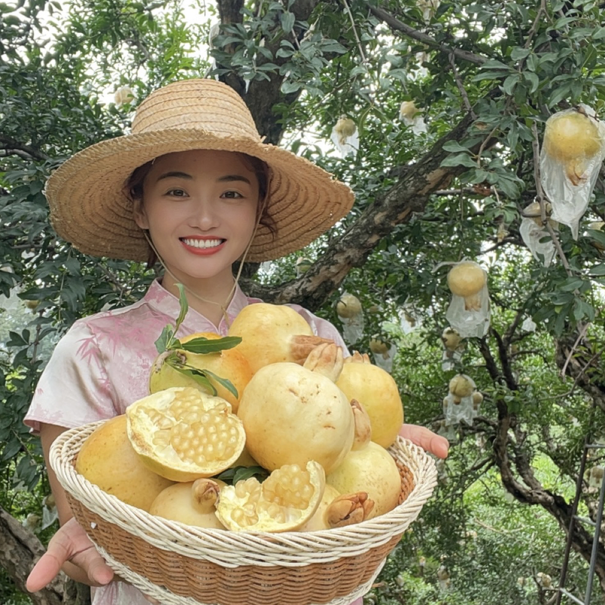 纯天然怀远百年历史白花玉石籽石榴