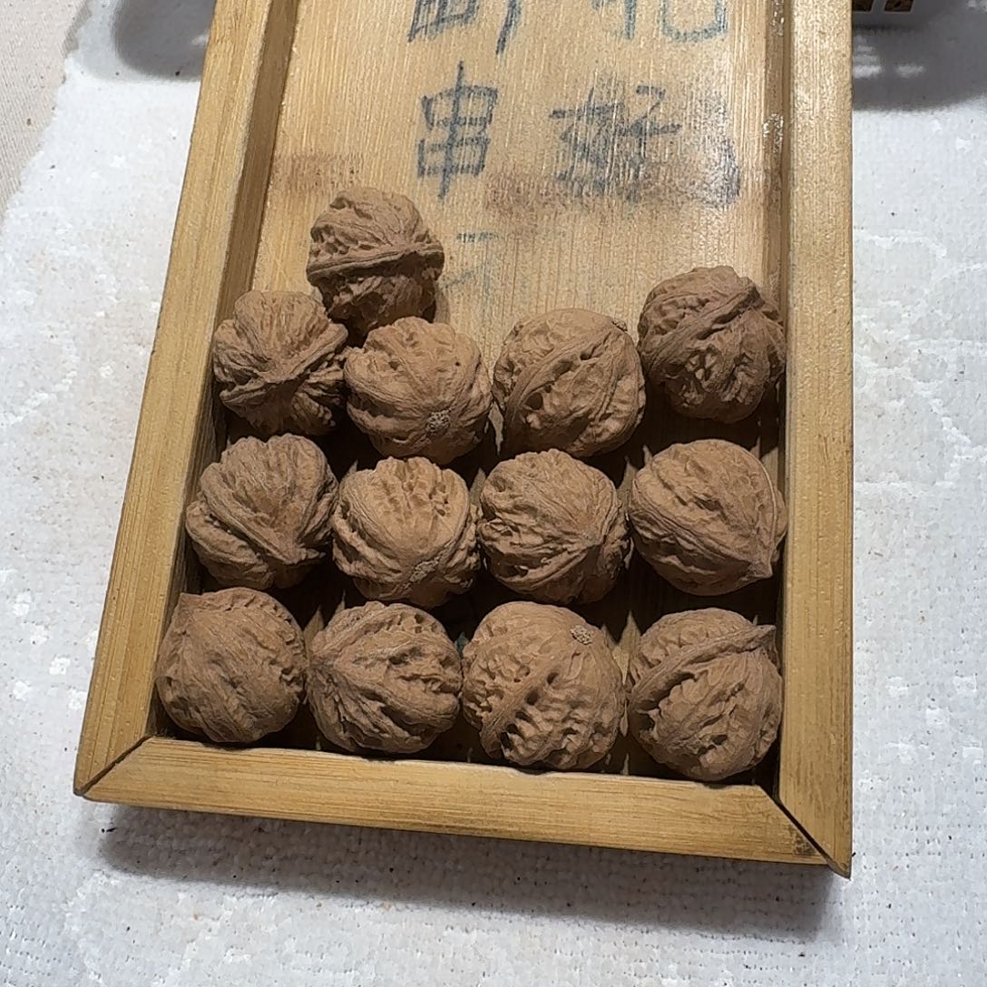 核桃手串/手链54号边23肚26高24
