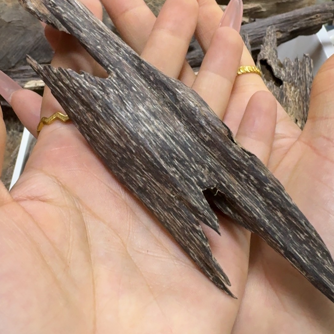 帅***派沉香碎屑沉香海南沉香树心油虫漏17克