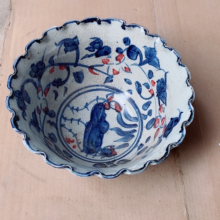 瓷片我也好可爱你是谁在家