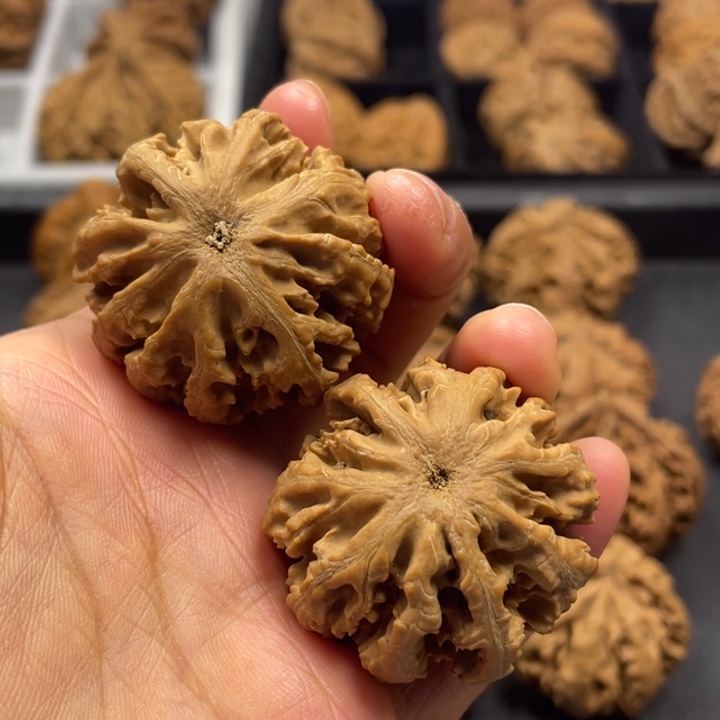 黄****吊坠文玩核桃突突突突突突突