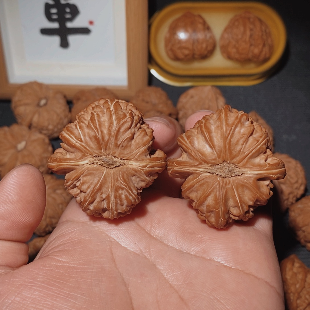 圓***文玩核桃把件42红皮三角白