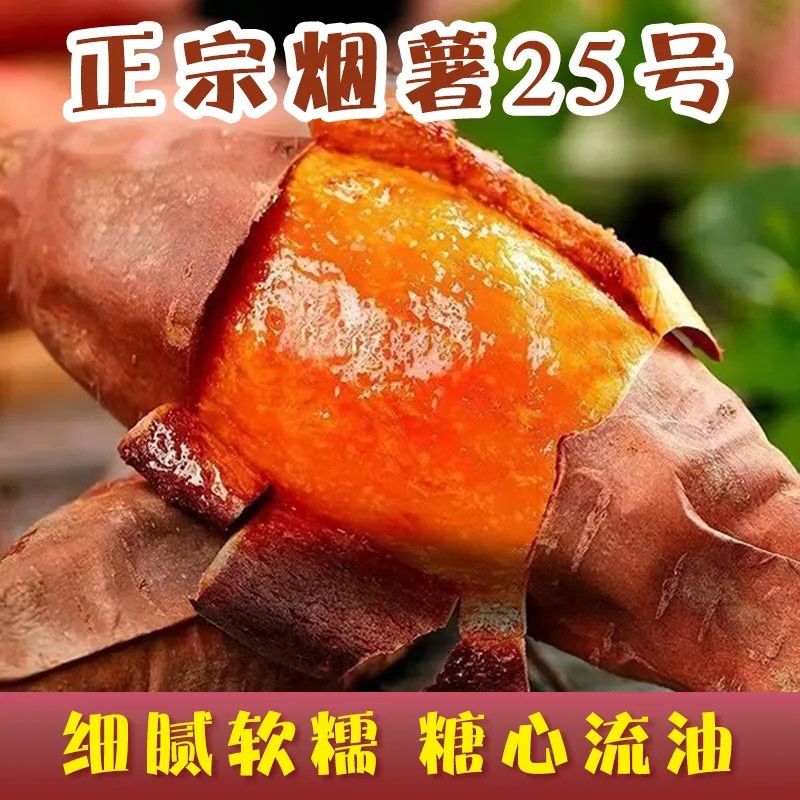 【坏果包赔】山东沂蒙山区正宗烟薯25，烤红薯专用糖心流油，现挖现发