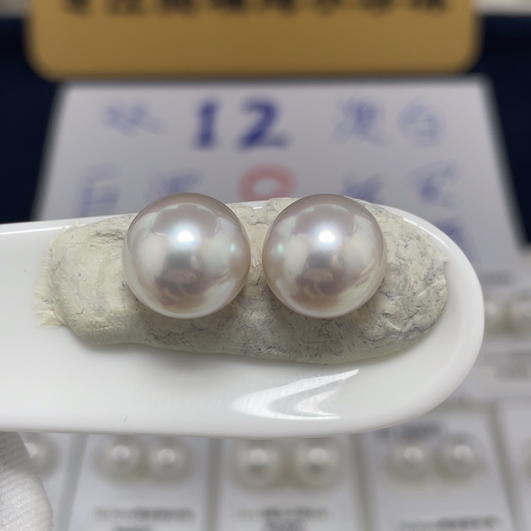 未镶嵌澳白对珠11-12海水珍珠