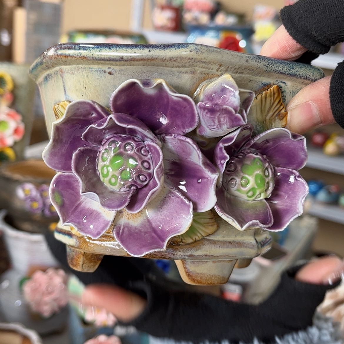 【闪购商品】红陶福利