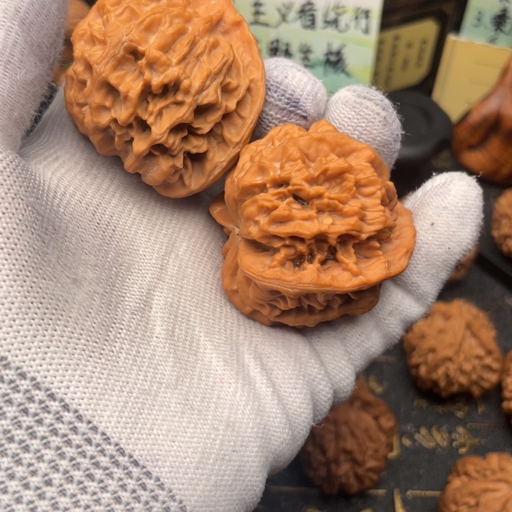 悟***、核桃秦岭44尺大花