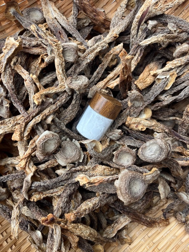 菌子BZ3 重量8克可搭配珍珠粉