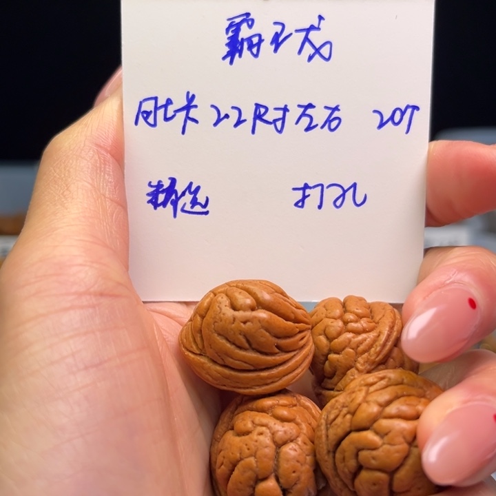 文玩核桃把件霸王龙