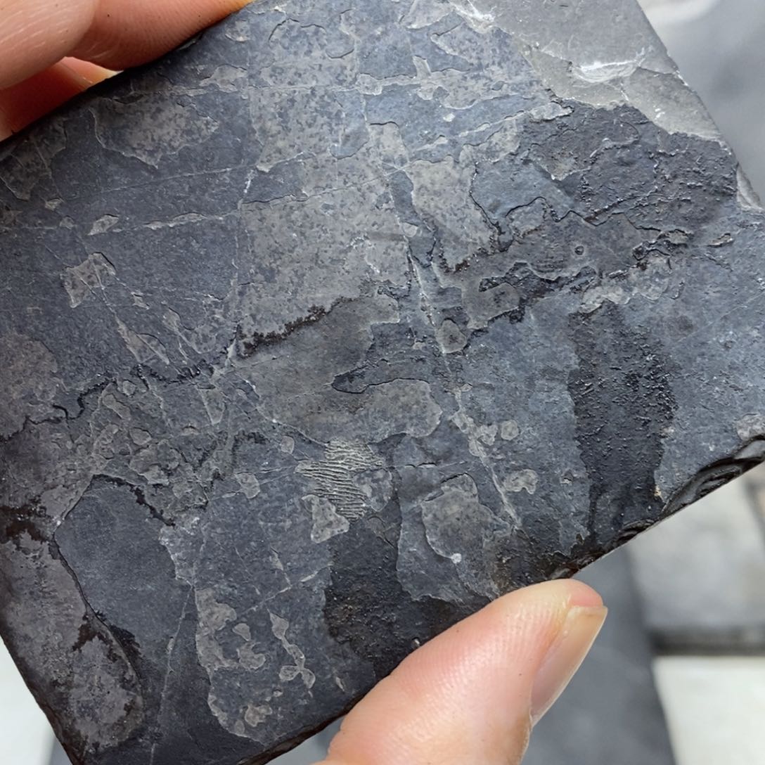 石材B****s大自然的秘密