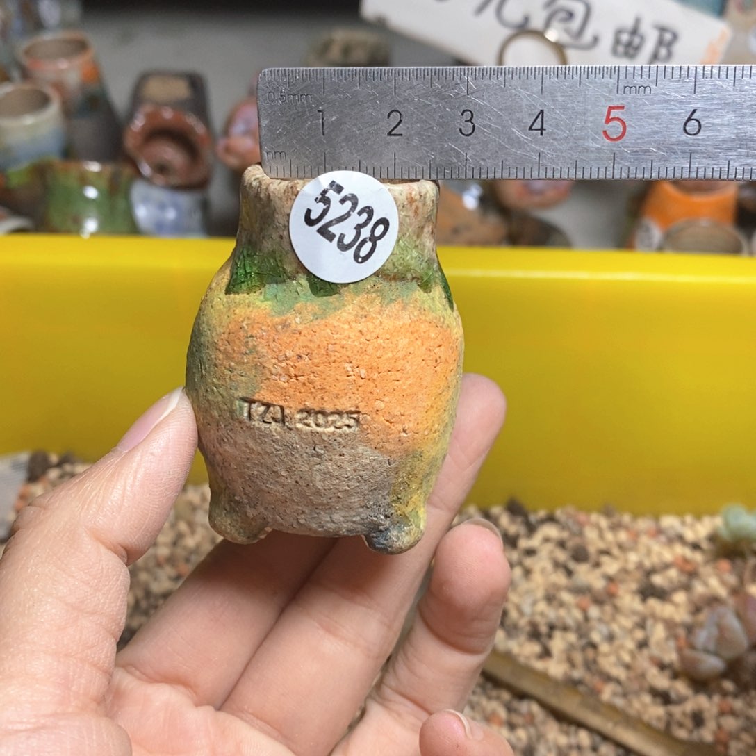 特价·拍5送一个小礼物