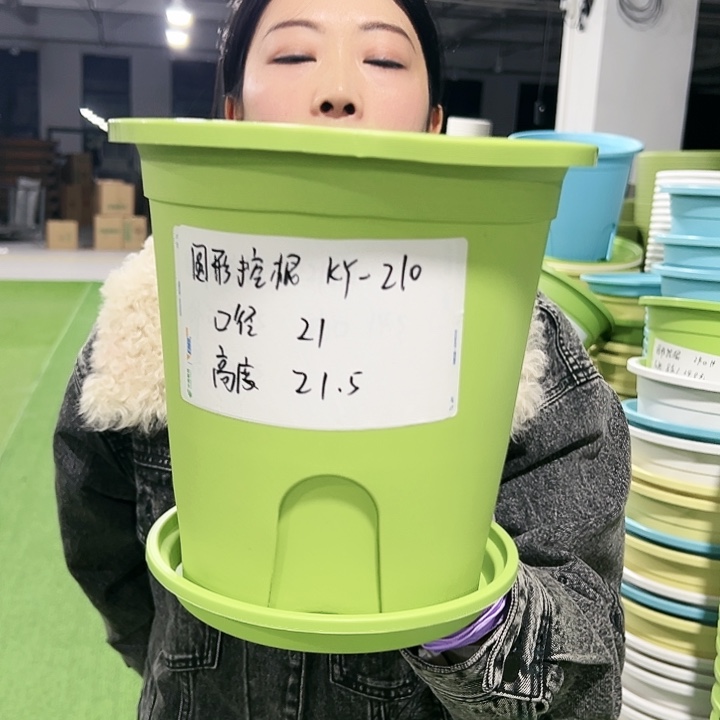 正品圆控口21高21果绿色5只有托