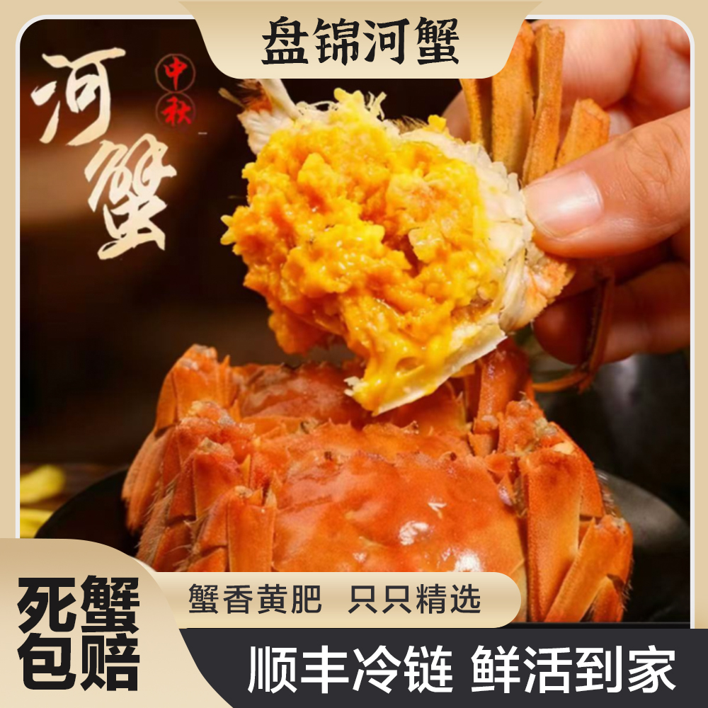 【活蟹】盘锦河蟹 1.4~1.6两/只 全母 到手2斤 鲜活发货 