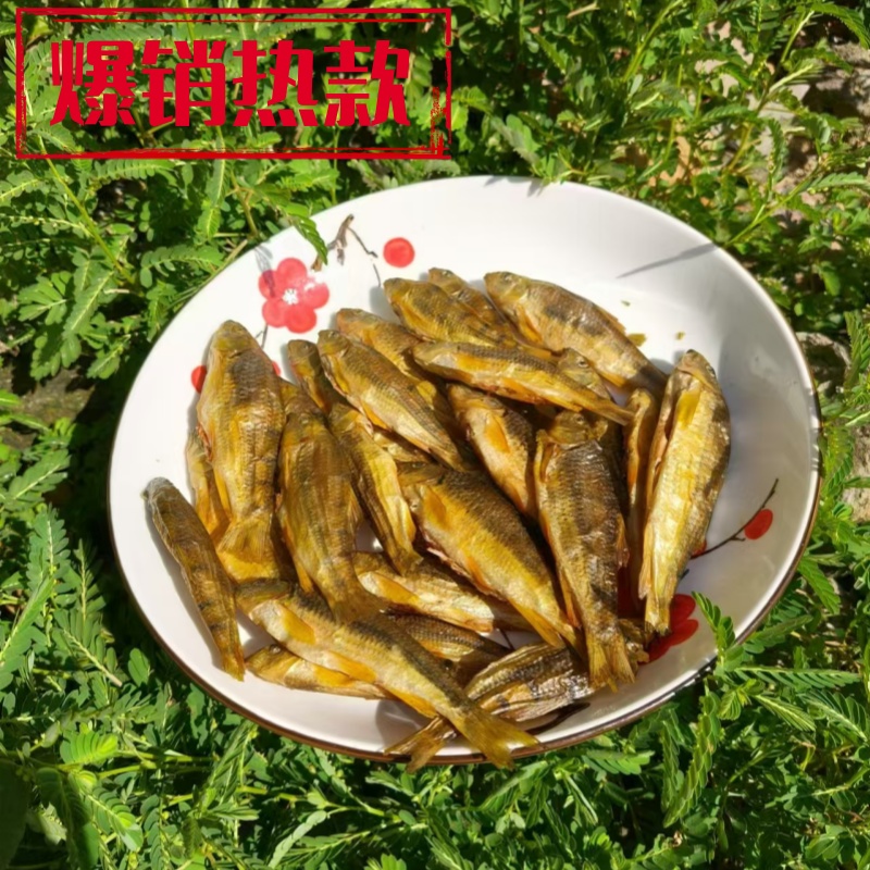 江西泉水石斑鱼光唇鱼干鲜活去肚农家碳烤无盐小杂鱼溪水石斑鱼干