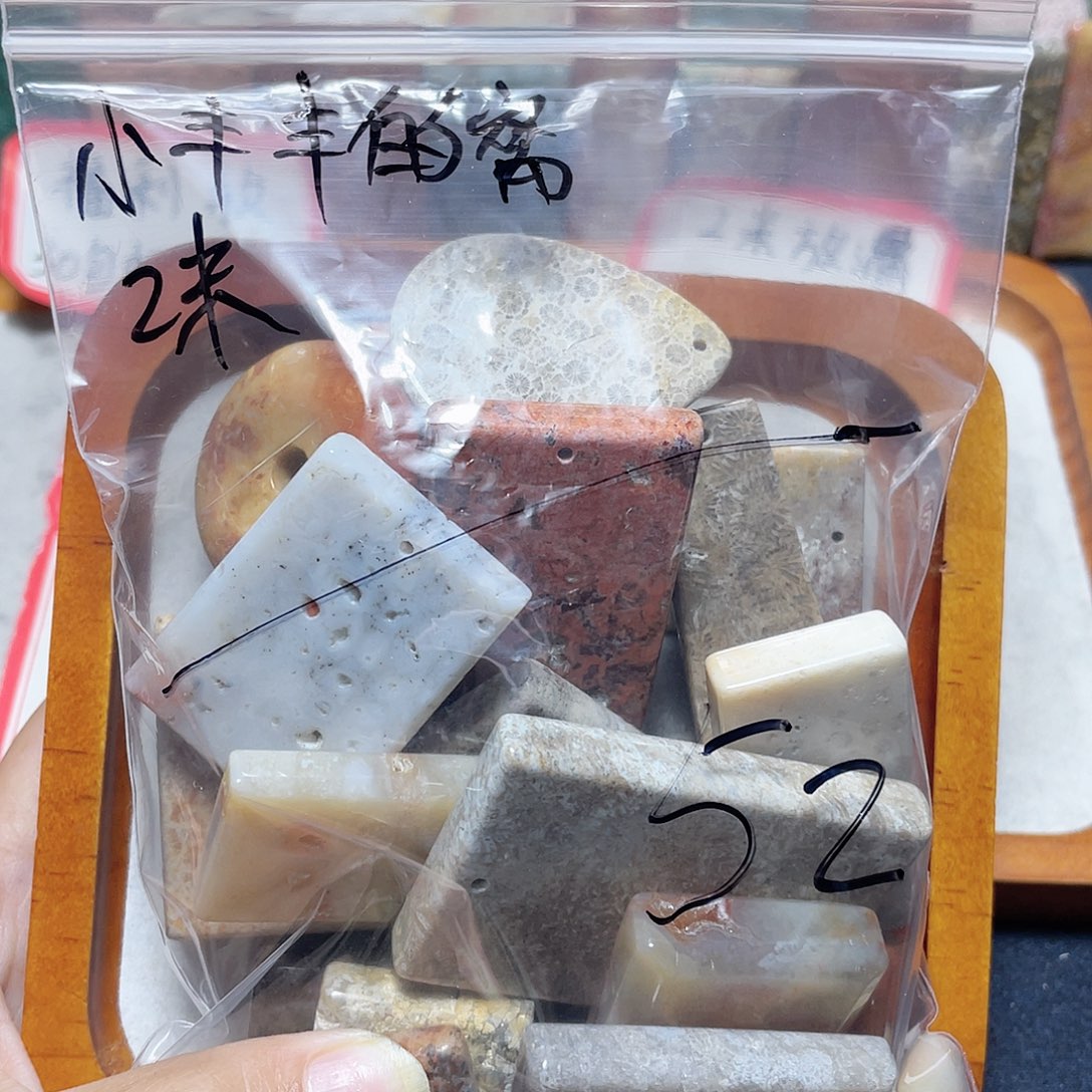 小***窝硅化珊瑚（珊瑚玉）合金颈饰