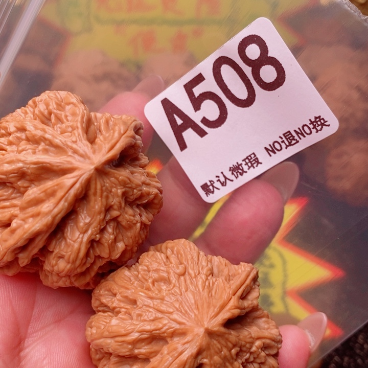 粗筋46尺508号瑕疵